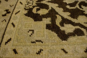 Brown Floral 5'7X8'9 Transitional Oriental Rug