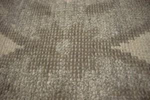 Floral Transitional 8X10 Modern Oriental Rug