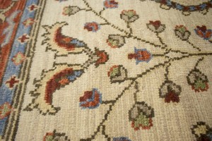 Floral Paisley Design 8X10 Transitional Oriental Rug