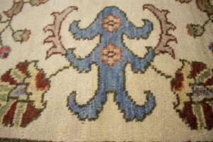 Floral Paisley Design 8X10 Transitional Oriental Rug