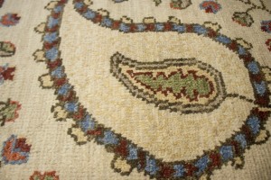Floral Paisley Design 8X10 Transitional Oriental Rug