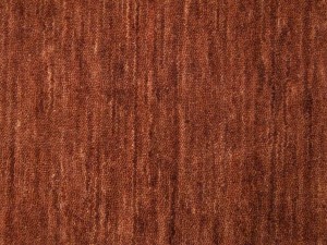Rusty Red Modern Solid 6X8 Gabbeh Oriental Rug