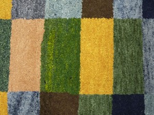 Multicolored Checkered Tribal 6X8 Indo-Gabbeh Oriental Rug