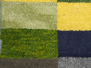 Multicolored Checkered Tribal 6X8 Indo-Gabbeh Oriental Rug