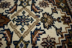 Cream Floral Tribal 3x5 Indo-Bidjar Oriental Rug