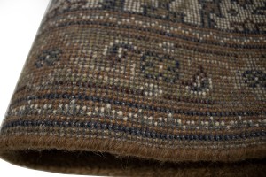 Cream Floral Tribal 3X5 Indo-Bidjar Oriental Rug