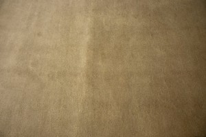 Beige Floral Chinese Style 8X11 Modern Oriental Rug