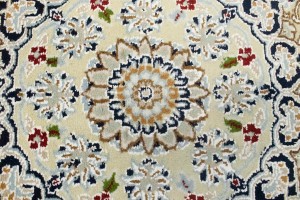 Cream Floral 8X10 Indo-Nain Oriental Rug