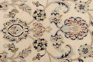 Cream Floral 6X9 Indo-Nain Oriental Rug
