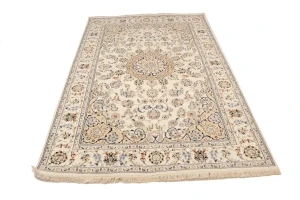 Cream Floral 6X9 Indo-Nain Oriental Rug