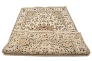 Cream Floral 6X9 Indo-Nain Oriental Rug