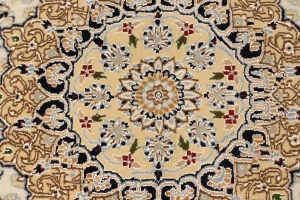 Cream Floral 6X9 Indo-Nain Oriental Rug