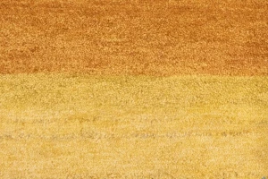 Multicolored Tribal 8X11 Indo-Gabbeh Oriental Rug