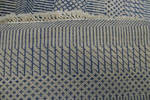 Blue & Ivory Grass Design 5X8'5 Modern Oriental Rug
