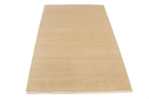 Beige/Cream Grass Design 6X9 Modern Oriental Rug