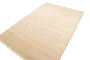 Beige/Cream Grass Design 6X9 Modern Oriental Rug