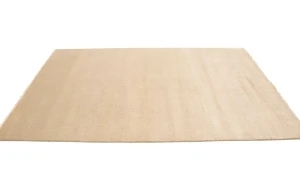 Beige/Cream Grass Design 6X9 Modern Oriental Rug
