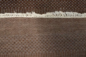 Brown Grass Design 4X6 Modern Oriental Rug