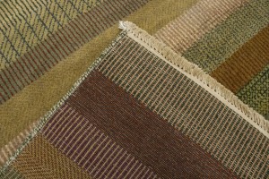 Multicolored Grass Design 8X10 Modern Oriental Rug