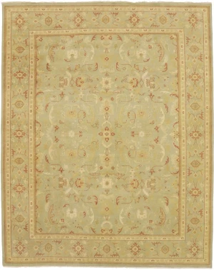 Tan Floral 8X10 Transitional Oriental Rug