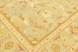 Tan Floral 8X10 Transitional Oriental Rug