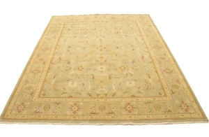 Tan Floral 8X10 Transitional Oriental Rug