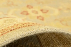 Tan Floral 8X10 Transitional Oriental Rug