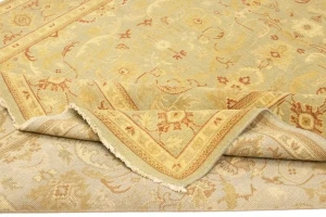 Tan Floral 8X10 Transitional Oriental Rug