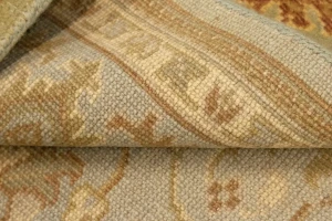 Tan Floral 8X10 Transitional Oriental Rug