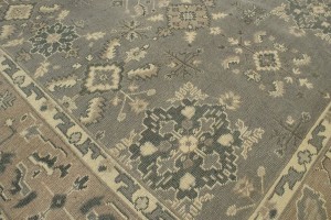 Brownish Gray Floral 8X10 Transitional Oriental Rug