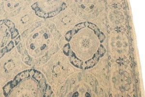 Beige Floral Transitional 5X8 Oriental Rug