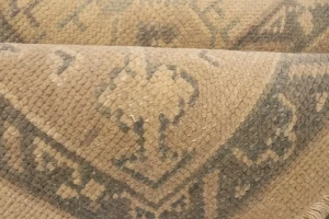 Beige Floral Transitional 8X10 Oriental Rug