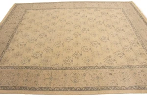 Beige Floral Transitional 8X10 Oriental Rug