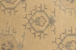 Beige Floral Transitional 8X10 Oriental Rug