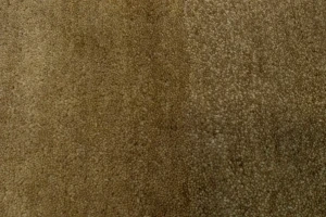 Beige & Rust Tribal 2'5X4'6 Indo-Gabbeh Oriental Rug