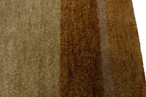 Beige & Rust Tribal 2'5X4'6 Indo-Gabbeh Oriental Rug