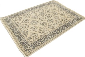 Floral Transitional 5X7 Oriental Rug