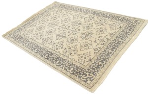 Floral Transitional 5X7 Oriental Rug