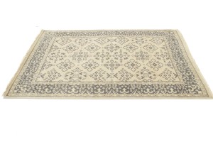 Floral Transitional 5X7 Oriental Rug