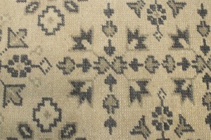 Floral Transitional 5X7 Oriental Rug
