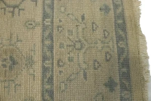 Allover Floral Transitional 6X9 Oriental Rug