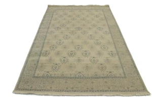 Allover Floral Transitional 6X9 Oriental Rug