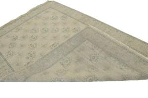 Allover Floral Transitional 6X9 Oriental Rug