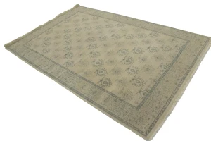 Allover Floral Transitional 6X9 Oriental Rug