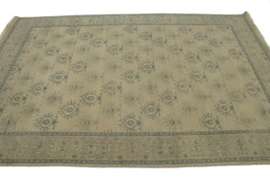 Allover Floral Transitional 6X9 Oriental Rug