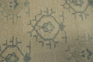 Allover Floral Transitional 6X9 Oriental Rug