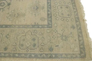 Allover Floral Transitional 6X9 Oriental Rug