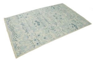 Floral Transitional 5X7 Modern Oriental Rug