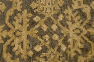Dark Brown Transitional Floral 6X9 Oriental Rug
