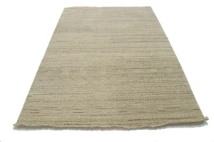 Beige & Brown Transitional Floral 6X9 Oriental Rug
